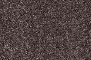 Ковролин AW Vivendi Punch 44 фото  | FLOORDEALER